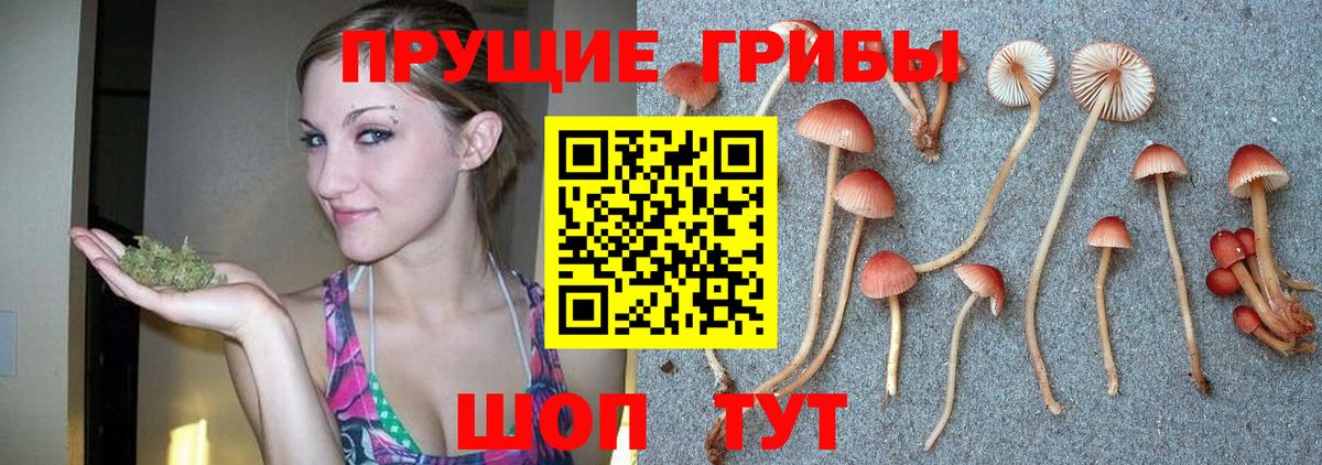 Псилоцибиновые грибы MAGIC MUSHROOMS Пушкино